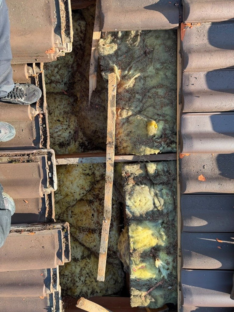 Vue chantier toiture état des liteaux AD Couverture