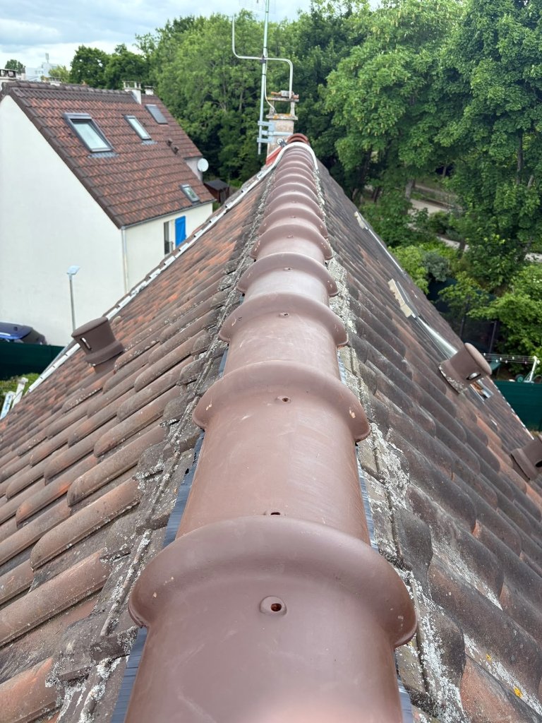 Démoussage toiture hydrofuge