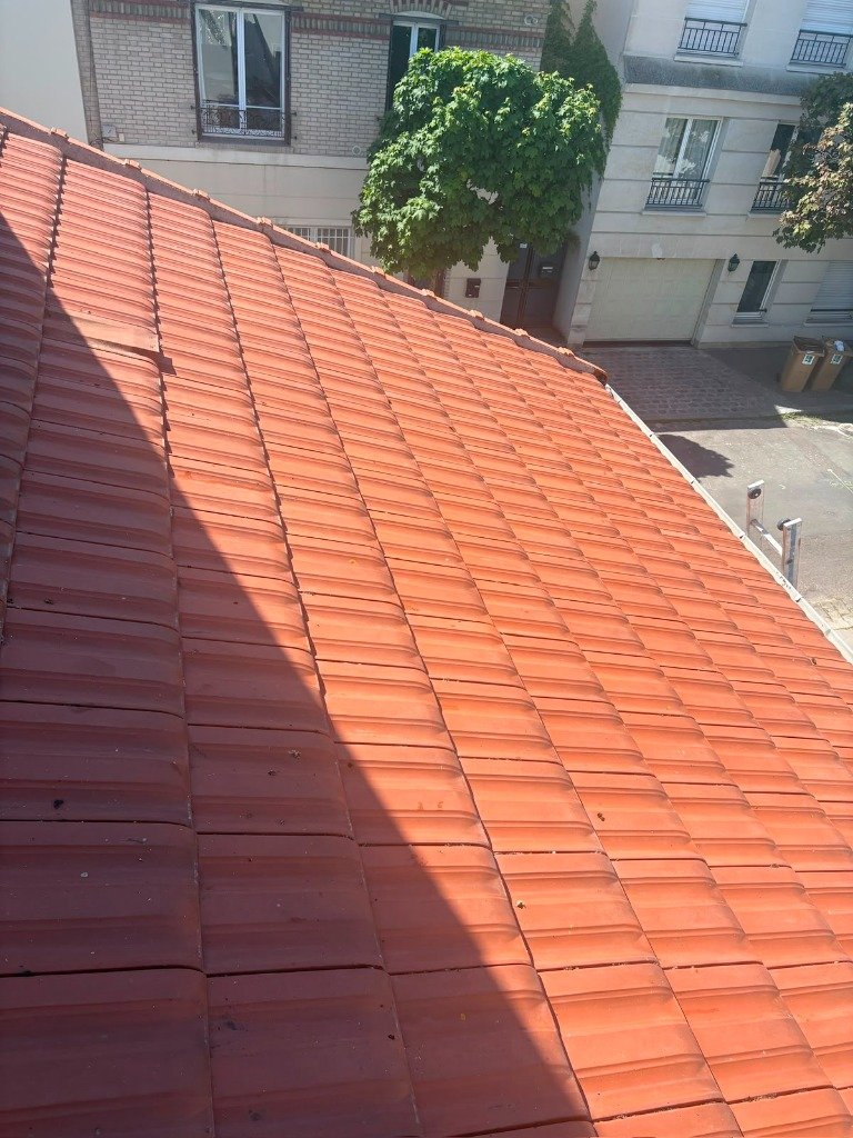Rénovation toiture tuiles neuves
